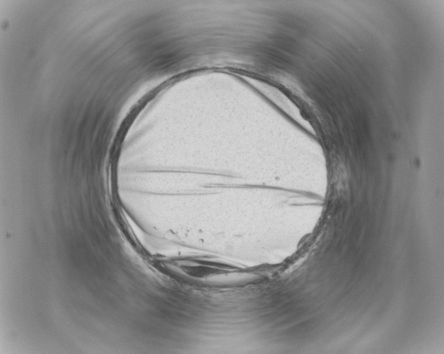 X0000069831032200606161935