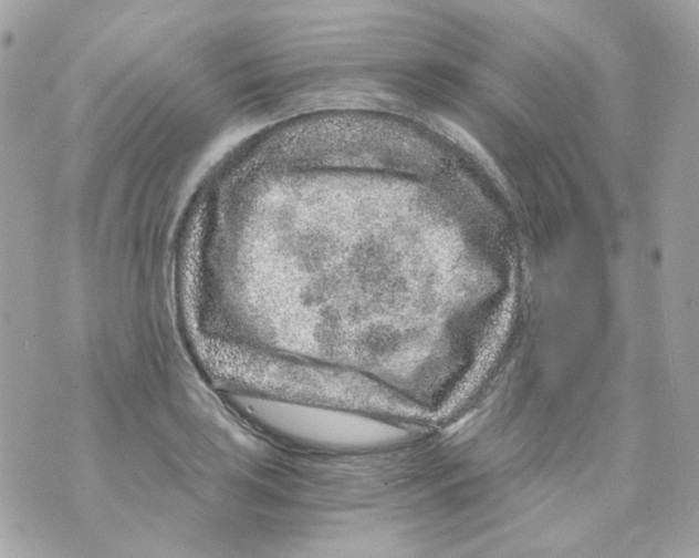 X0000069831035200606161935