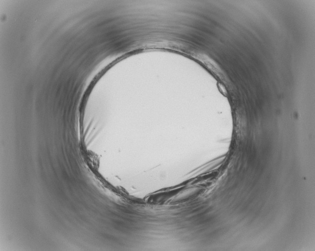 X0000069831036200606161935