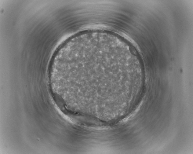 X0000069831037200606161935