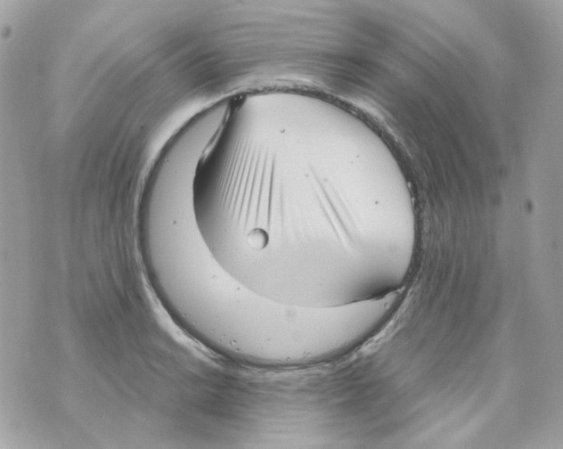 X0000069831038200606161935