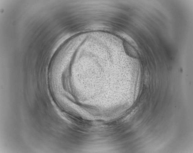 X0000069831039200606161935