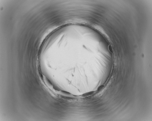 X0000069831040200606161935