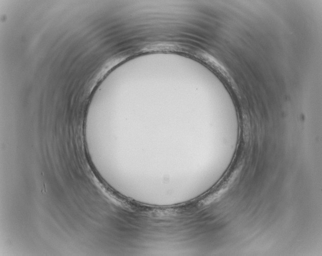 X0000069831041200606161935