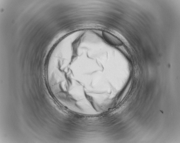 X0000069831043200606161935