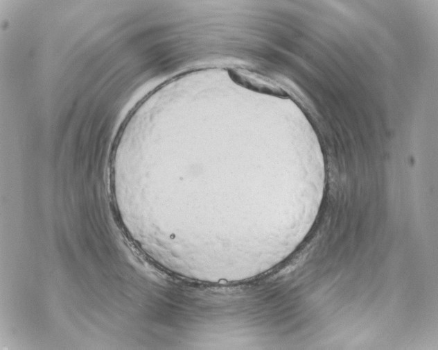 X0000069831044200606161935