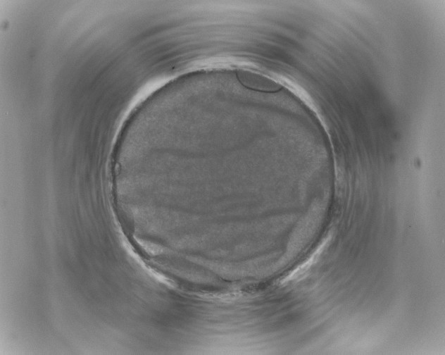 X0000069831045200606161935