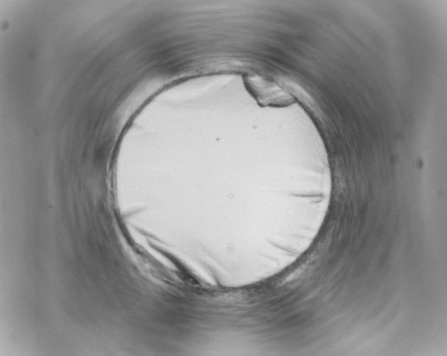 X0000069831047200606161935