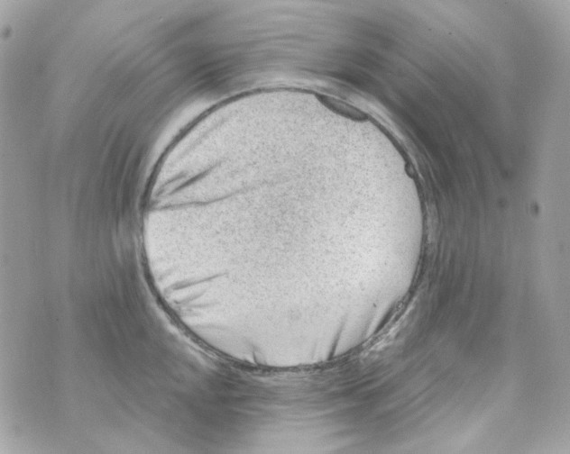 X0000069831048200606161935