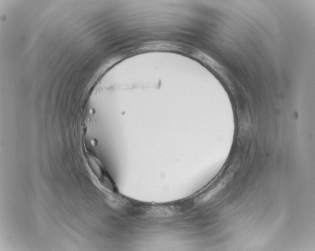 X0000069831049200606161935