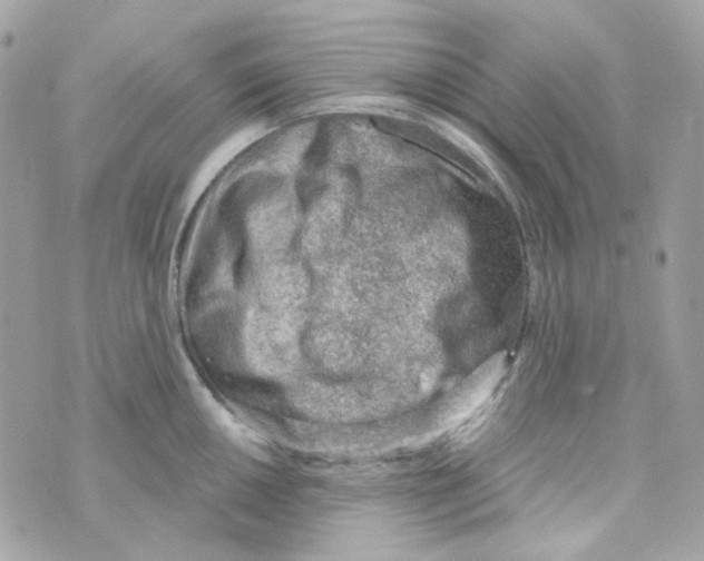 X0000069831050200606161935