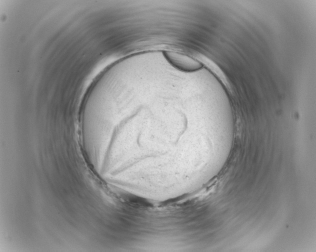 X0000069831051200606161935