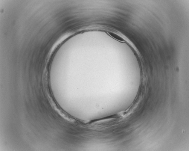 X0000069831053200606161935