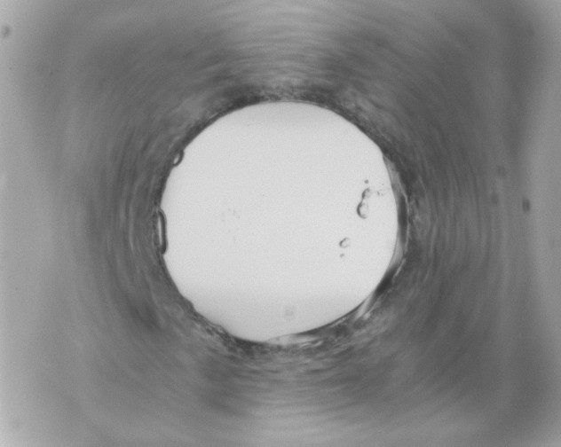 X0000069831057200606161935