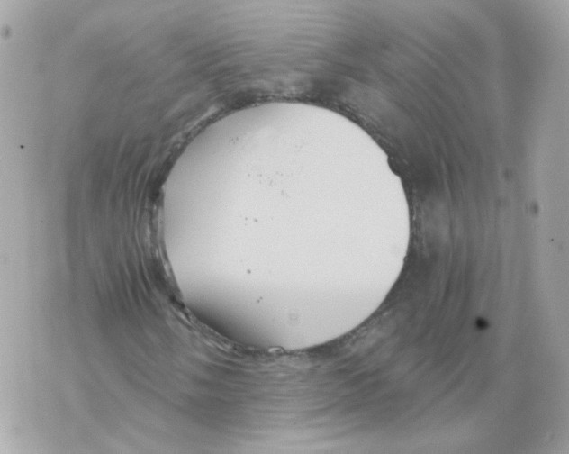 X0000069831058200606161935