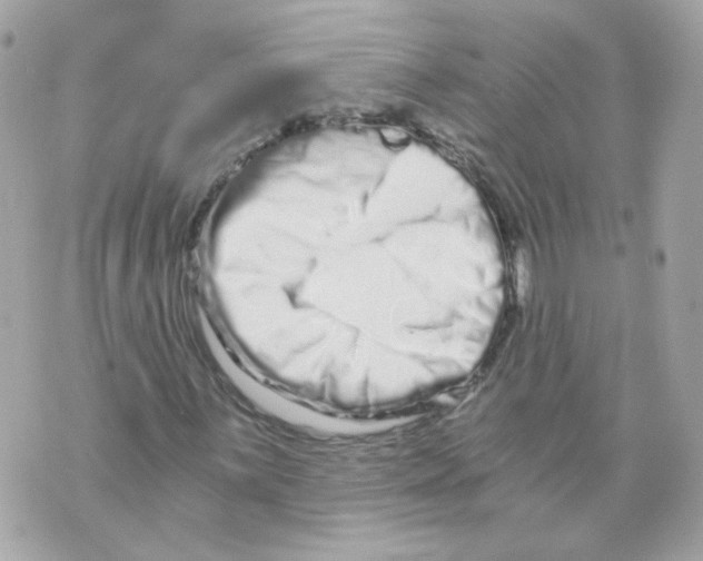 X0000069831059200606161935