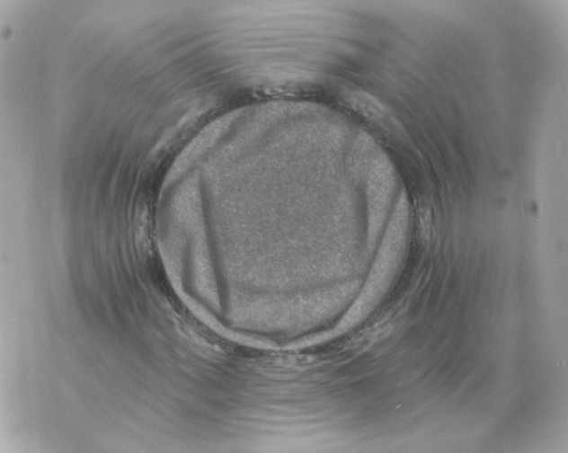 X0000069831060200606161935