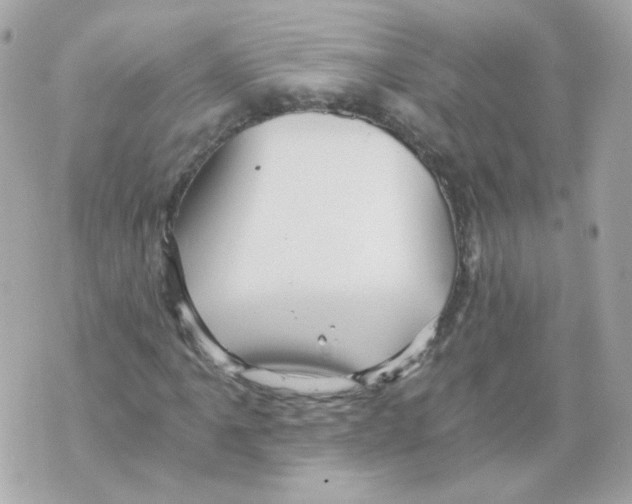 X0000069831061200606161934