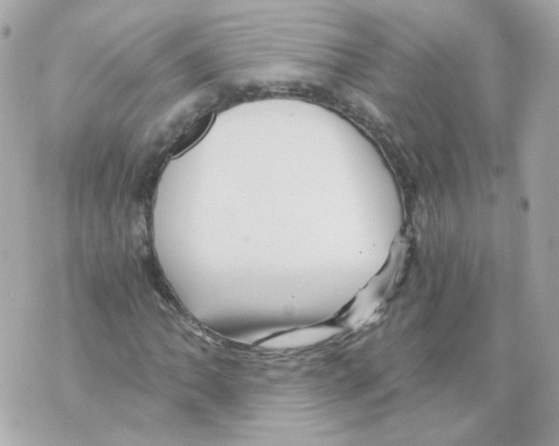 X0000069831062200606161934