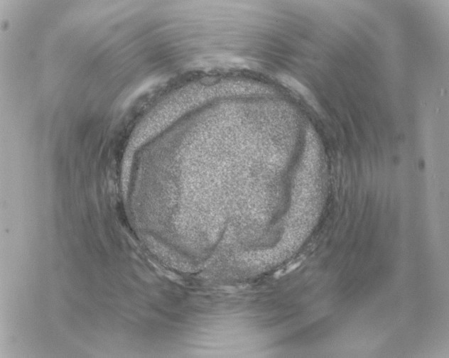 X0000069831063200606161934