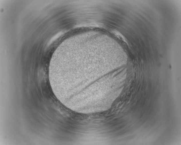 X0000069831064200606161934