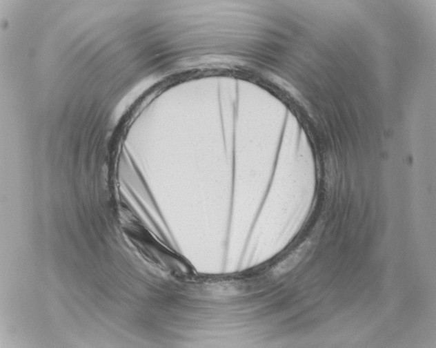 X0000069831066200606161934