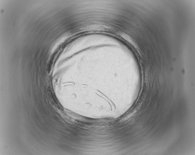 X0000069831067200606161934