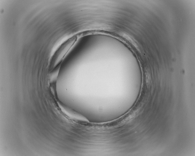 X0000069831069200606161934