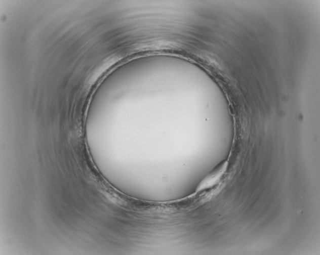 X0000069831073200606161934