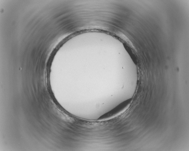 X0000069831076200606161934