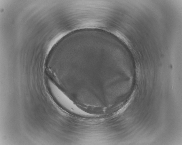 X0000069831077200606161934