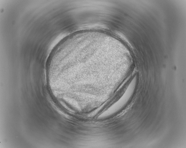 X0000069831079200606161934