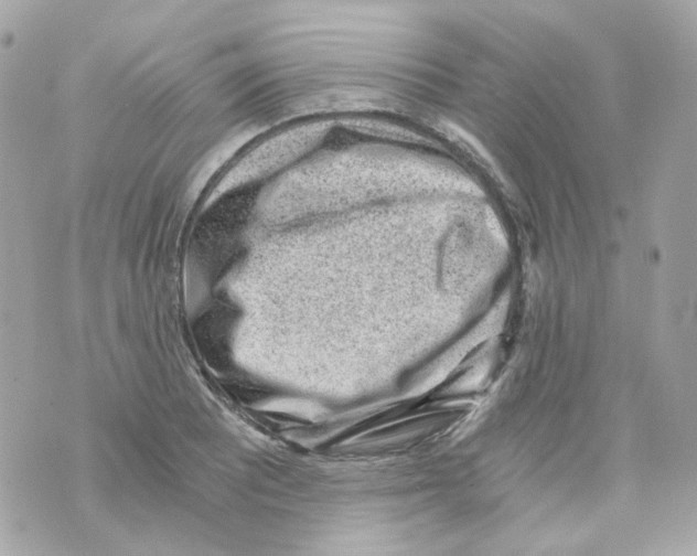 X0000069831081200606161934