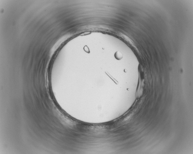 X0000069831082200606161934