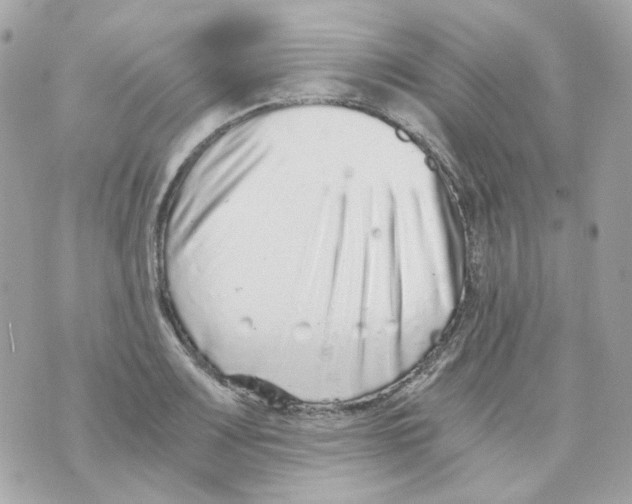 X0000069831083200606161934