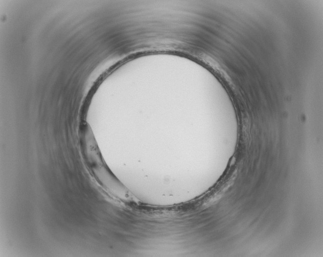 X0000069831085200606161934