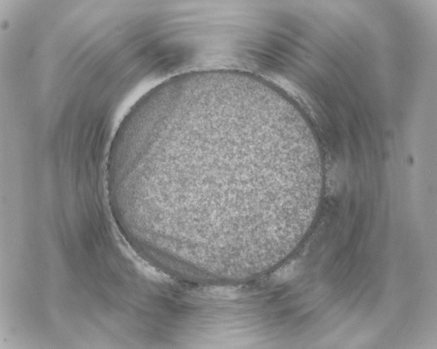 X0000069831086200606161934