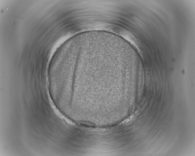 X0000069831088200606161934