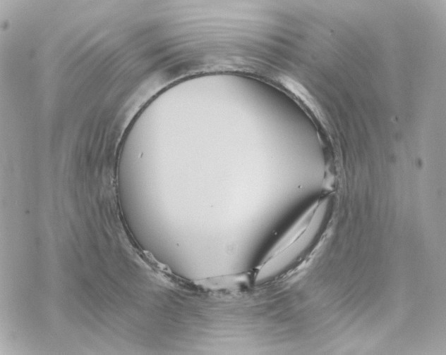 X0000069831089200606161934