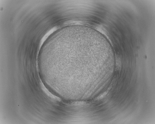 X0000069831090200606161934