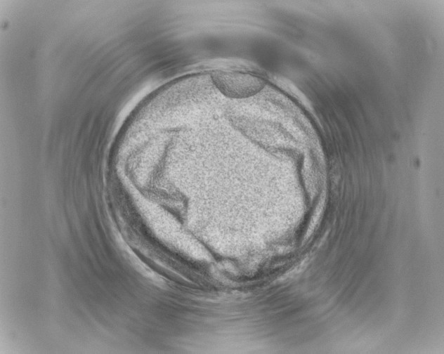 X0000069831091200606161934