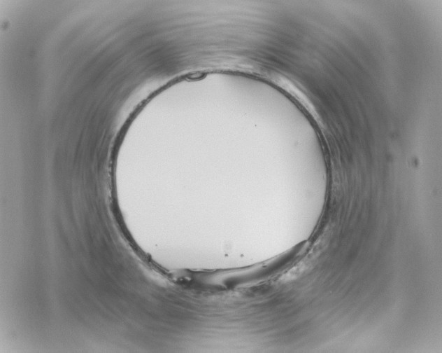 X0000069831093200606161934