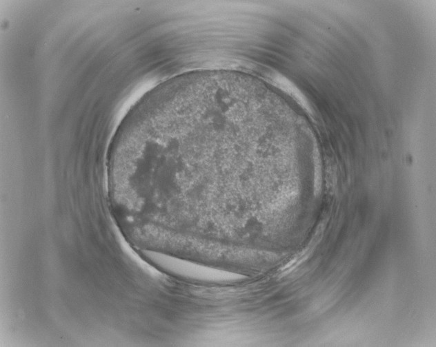 X0000069831095200606161934