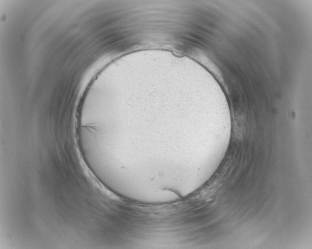 X0000069831096200606161934