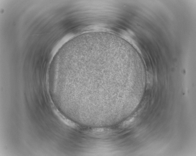 X0000069831098200606161934