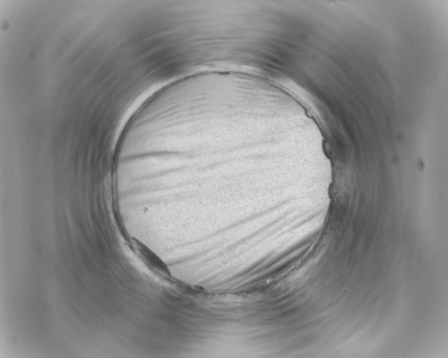 X0000069831100200606161934