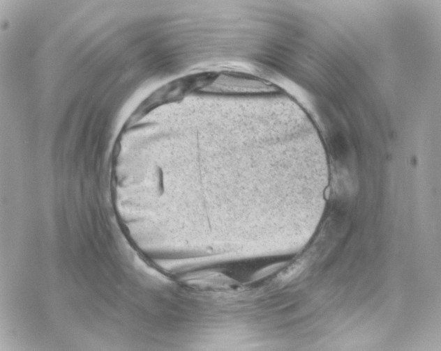 X0000069831102200606161934