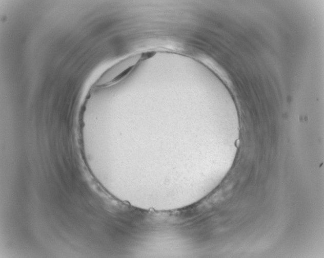 X0000069831104200606161934