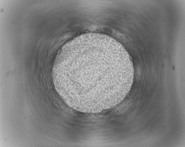 X0000069831105200606161933