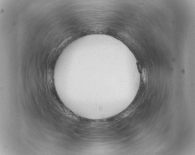 X0000069831107200606161933